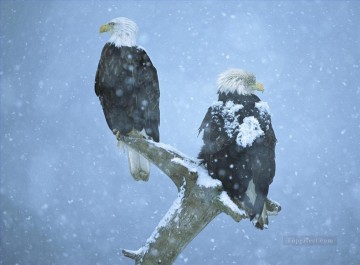 eagles in snow birds Oil Paintings